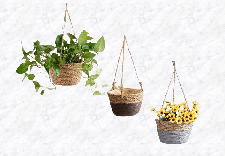 collection de caches pots