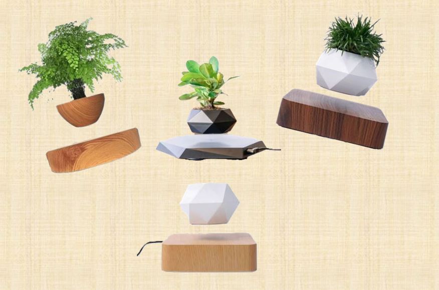 collection aménagement et décoration pour plantes