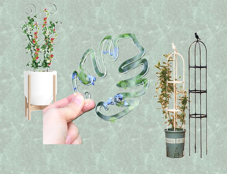 collection de tuteurs a plantes