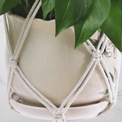 Cintre pot suspendu - PlantHanger™ - Style D - Mon espace Jardinage