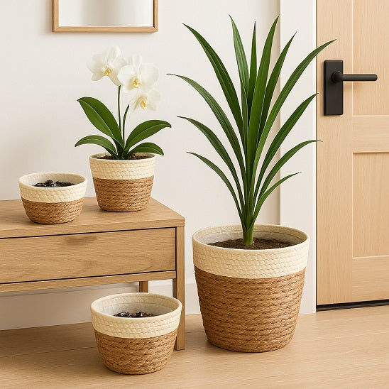 panier pour plante - Floralis Blond