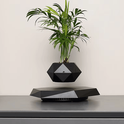 Pot de Fleurs Intérieur - LevitatingPot™ - Noir - Mon espace Jardinage