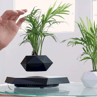 Pot de Fleurs Intérieur - LevitatingPot™ - Noir - Mon espace Jardinage