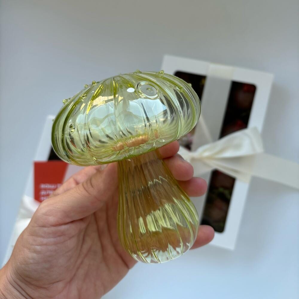 Vase en Verre - NordicMushroomVase™ - tenu dans la main - Mon espace Jardinage