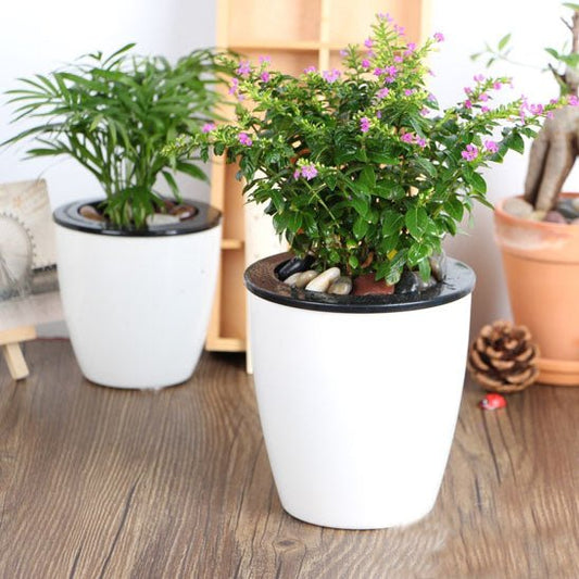cache pot | 2 - en - 1 - Mon espace Jardinage
