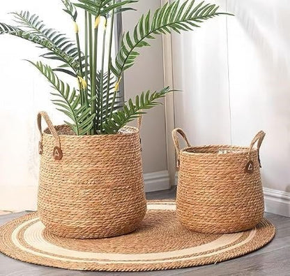 cache pot osier | PanierMarin - Mon espace Jardinage