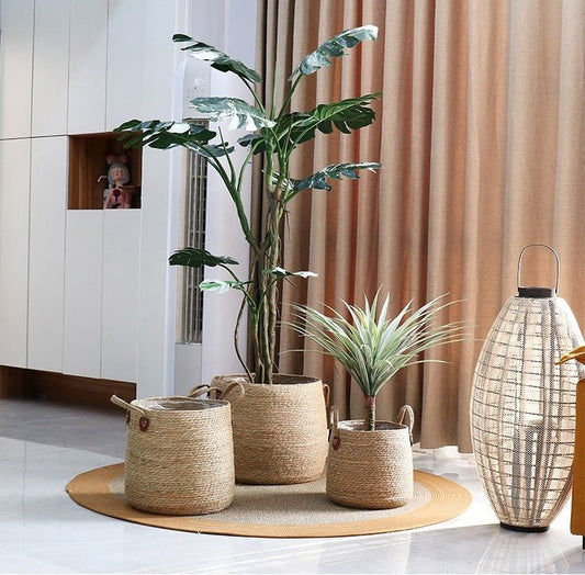 cache pot osier | PanierMarin - Mon espace Jardinage