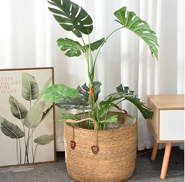 cache pot osier | PanierMarin - Mon espace Jardinage