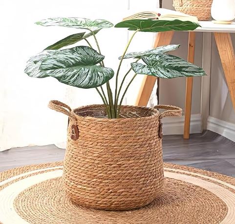 cache pot osier | PanierMarin - Mon espace Jardinage