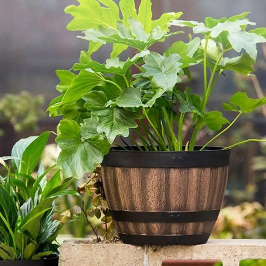 Cache pot tonneau | Whisky - Mon espace Jardinage