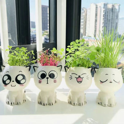Cache pot en ceramique MiniChat toute la collection