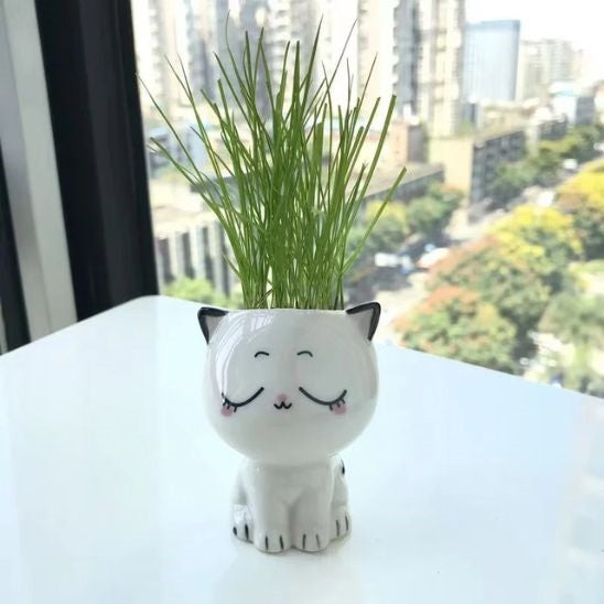 Cache pot en ceramique MiniChat Le sage
