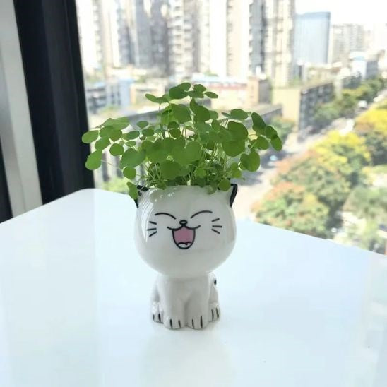 Cache pot en ceramique MiniChat Le Rigolot 