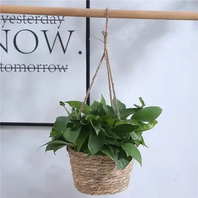 Panier pour plante - PlantBasket™ - Jaune - Mon espace Jardinage