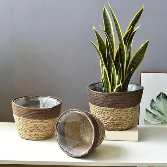 panier pour plante Floralis avec doublure étanche