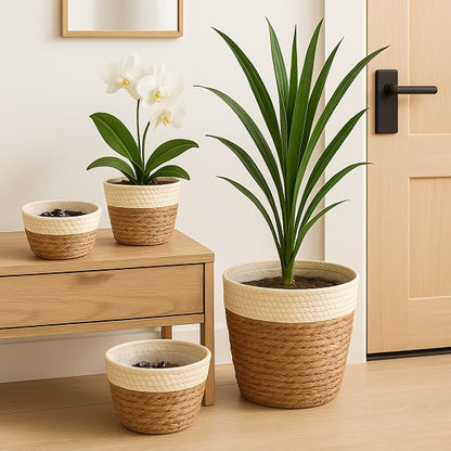 panier pour plante - Floralis Blond