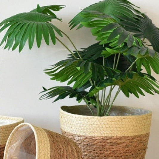 panier pour plante - Floralis Blond