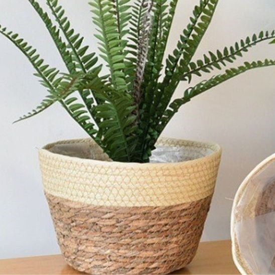 panier pour plante - Floralis Blond