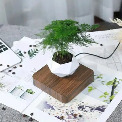 Pot de Fleurs Intérieur - LevitatingPot™ - Blanc&marron - Mon espace Jardinage