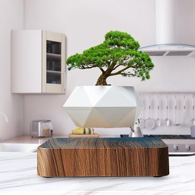 Pot de Fleurs Intérieur - LevitatingPot™ - Blanc&marron - Mon espace Jardinage