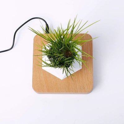 Pot de Fleurs Intérieur - LevitatingPot™ - Blanc&marron clair - Mon espace Jardinage