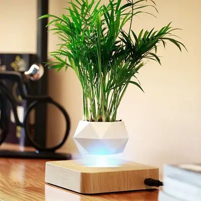 Pot de Fleurs Intérieur - LevitatingPot™ - Blanc&marron clair - Mon espace Jardinage