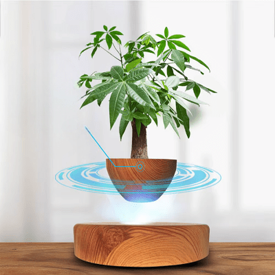 Pot de Fleurs Intérieur - LevitatingPot™ - Bois - Mon espace Jardinage