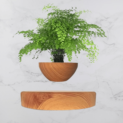 Pot de Fleurs Intérieur - LevitatingPot™ - Bois - Mon espace Jardinage