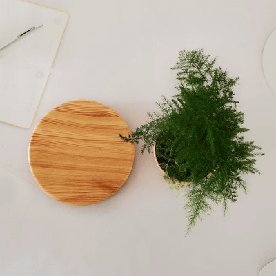 Pot de Fleurs Intérieur - LevitatingPot™ - Bois - Mon espace Jardinage