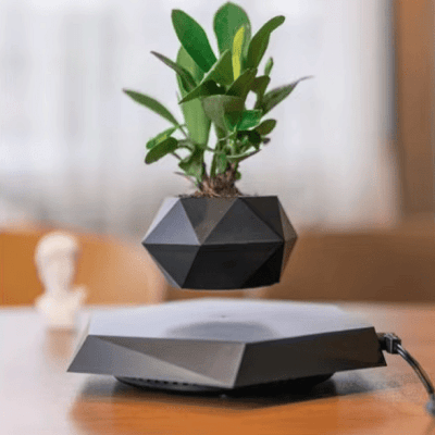 Pot de Fleurs Intérieur - LevitatingPot™ - Noir - Mon espace Jardinage