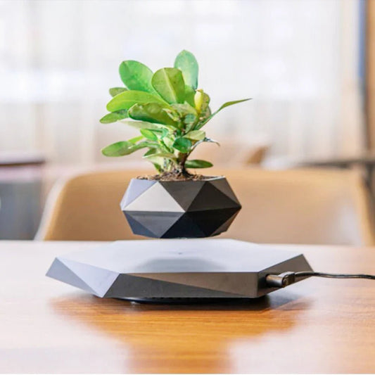 Pot de Fleurs Intérieur - LevitatingPot™ - Noir - Mon espace Jardinage