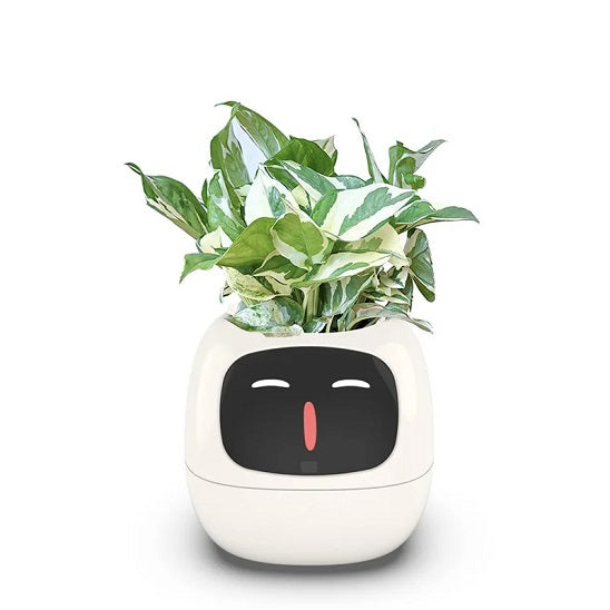 pot de fleur intelligent | Ivy