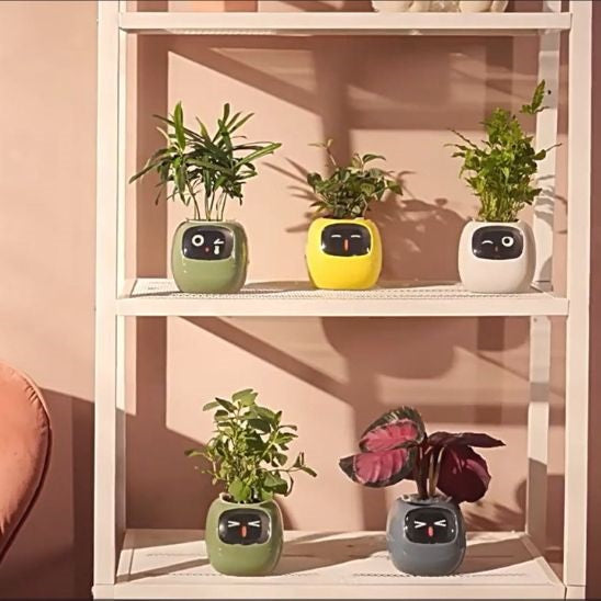 pot de fleur intelligent 5 modèles sur une étagère