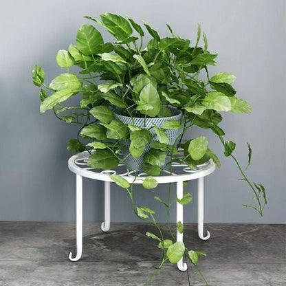 support pour les plantes | Baroque - Mon espace Jardinage