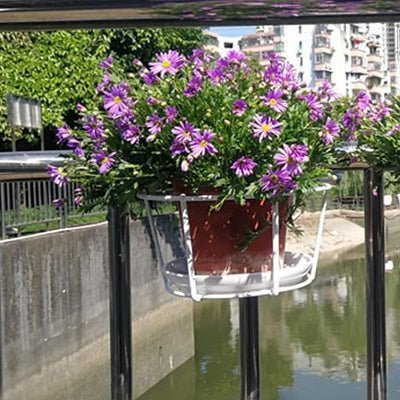 Support pour plantes - HangingPlantRacks™ - Blanc - Mon espace Jardinage