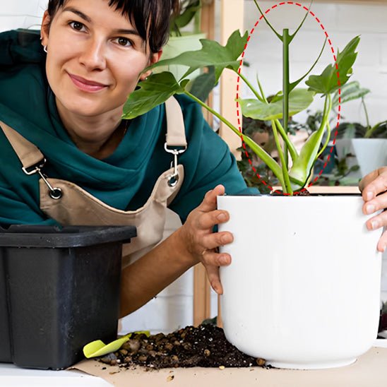 tuteur plante | Brindilles - empilables - Mon espace Jardinage