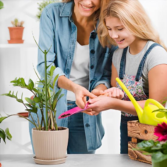 tuteur plante | Brindilles - empilables - Mon espace Jardinage