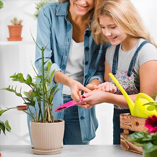 tuteur plante | Brindilles - empilables - Mon espace Jardinage