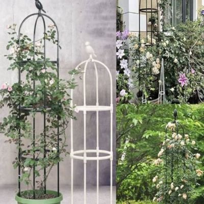 tuteur plante grimpante | Cage - Oiseau - Mon espace Jardinage