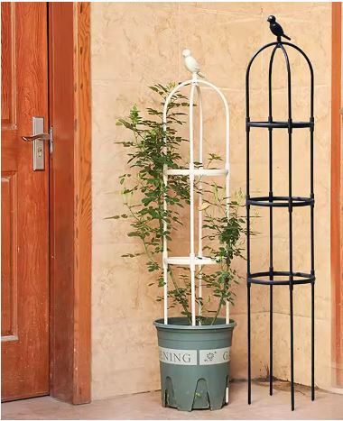 tuteur plante grimpante | Cage - Oiseau - Mon espace Jardinage