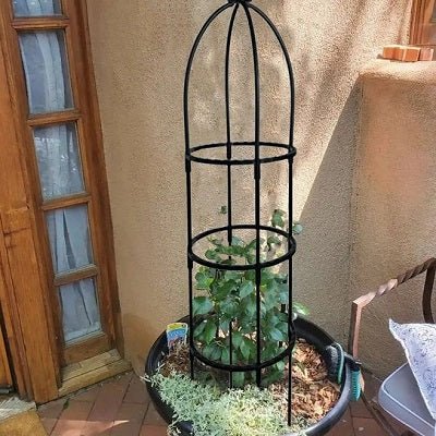tuteur plante grimpante | Cage - Oiseau - Mon espace Jardinage