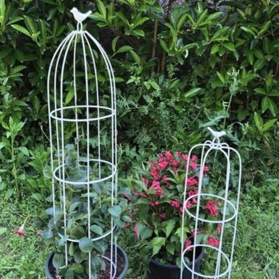 tuteur plante grimpante | Cage - Oiseau - Mon espace Jardinage