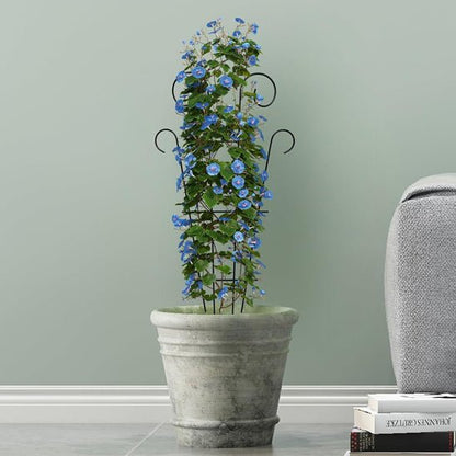 tuteur plante grimpante | Grille - escalade - Mon espace Jardinage