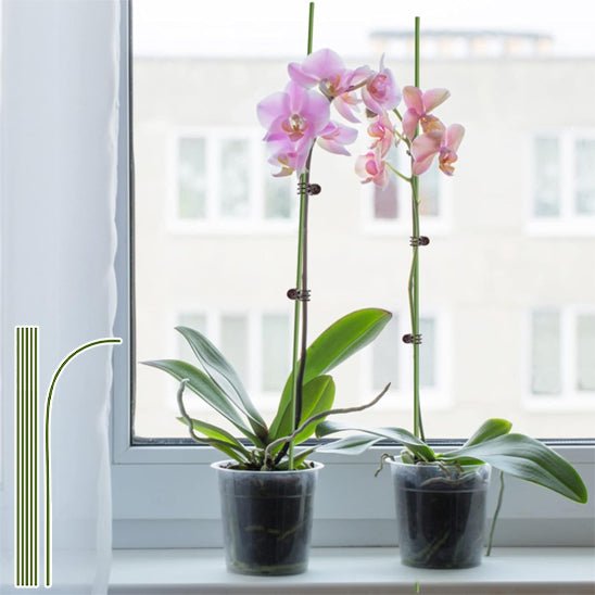 tuteur plante | Tiges - Flexibles - Mon espace Jardinage