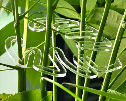 tuteur pour plante | ClipMonstera - Mon espace Jardinage