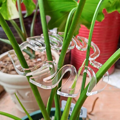 tuteur pour plante | ClipMonstera - forme de feuille