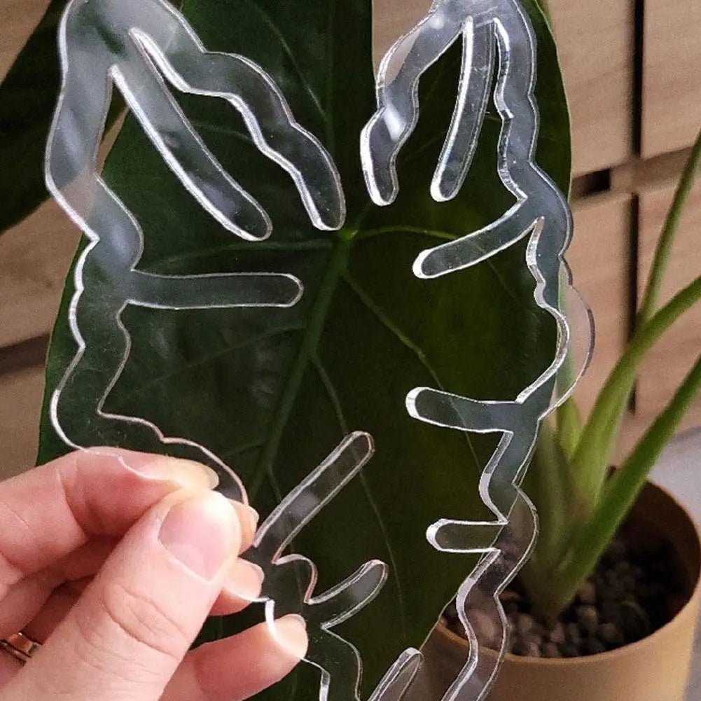 tuteur pour plante ClipMonstera - en forme de carapace de tortue