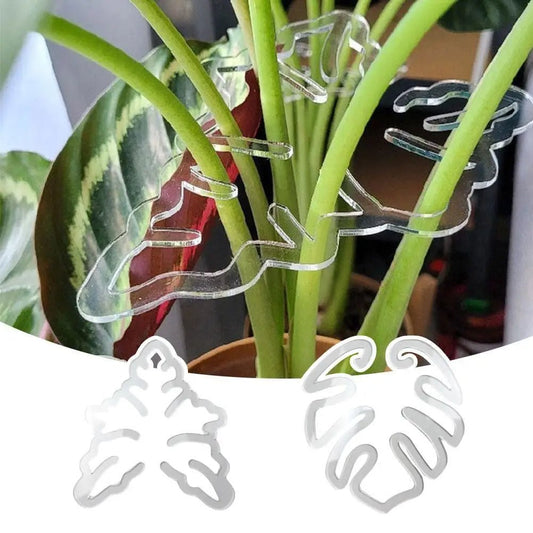 tuteur pour plante ClipMonstera - deux formes possibles
