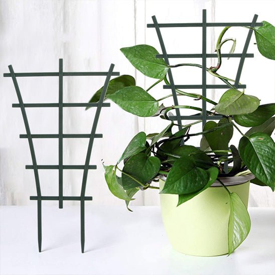 tuteur pour plante | Treillis - Éventail - Mon espace Jardinage