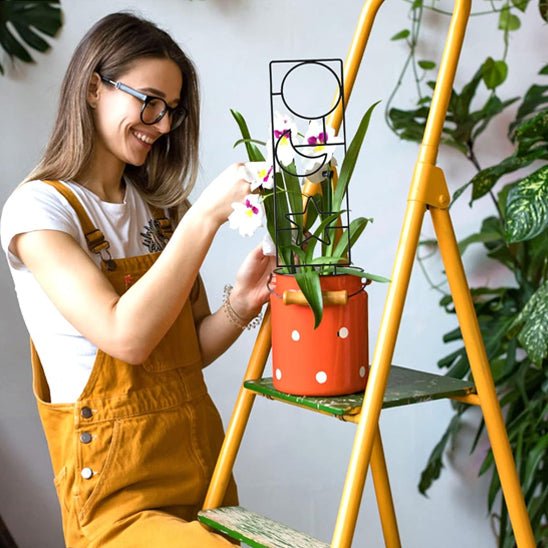 tuteur pour plantes grimpantes | Spacio - Élégant - décoratif, attrayant et utile